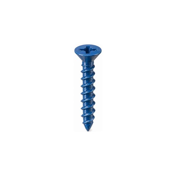 TORNILLO TORCON AZUL AVELLAN 1/4X1 3/4