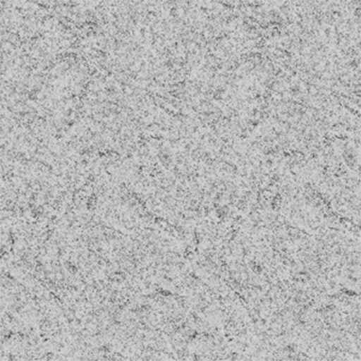 [FORMICA ASTRAL] FORMICA LAMITECH ASTRAL 1X122X244